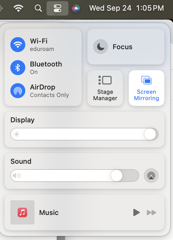 Screen Mirroring Option